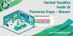 Pameran Gelar Produk Daerah Dan Peluang Investasi GPD EXPO 2018 Batam - Kepulauan Riau