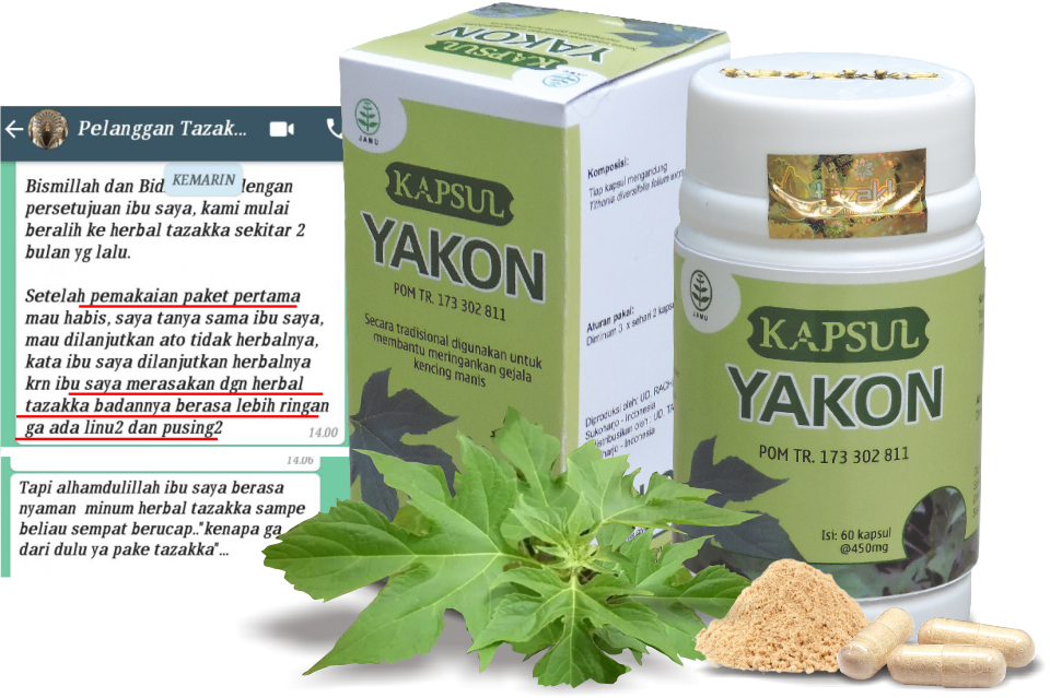obat diabetes herbal kapsul Yakon