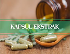 Jual Produk Tazakka Kapsul Ekstrak Herbal