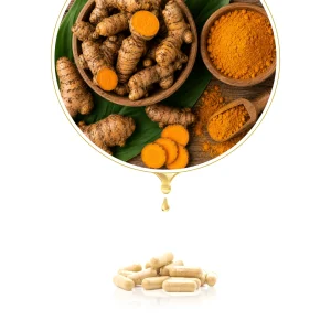 Kapsul Temulawak Original Bpom Tazakka Isi 60 Ekstrak Obat Asam Lambung Paling Ampuh Gerd Maag Magh Suplemen Penambah Nafsu Makan Dewasa Anak 1