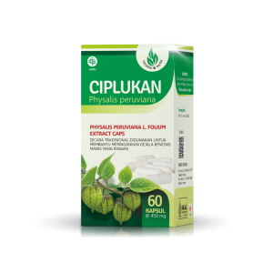Kapsul Daun Buah Ciplukan Ceplukan Tazakka Original Halal BPOM Isi 60 Extract Capsule Obat Diabetes Kering Paling Ampuh Suplemen Herbal 1 1