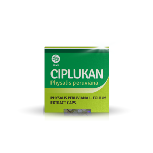 Kapsul Daun Buah Ciplukan Ceplukan Tazakka Original Halal BPOM Isi 60 Extract Capsule Obat Diabetes Kering Paling Ampuh Suplemen Herbal