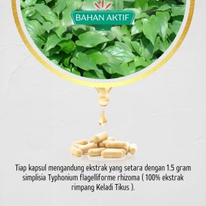 Komposisi Bahan KELADIKAPS Kapsul Keladi Tikus Herbal Ori Asli Tazakka Isi 60 Ekstrak Jamu Herbal Tradisional Obat Kanker Penghilang Benjolan Lipoma Tanpa Operasi