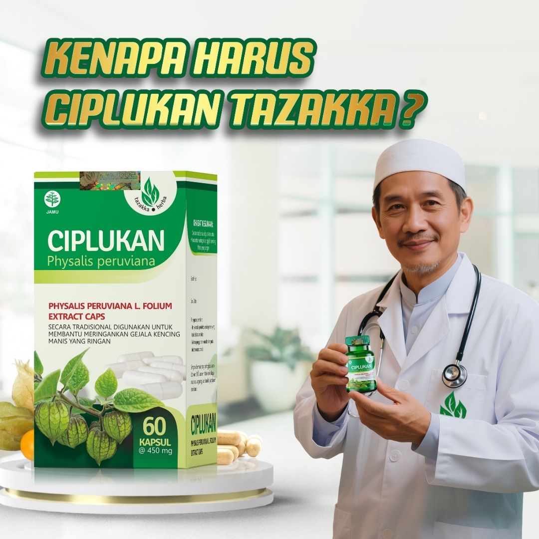Rekomendasi Kapsul Daun Buah Ciplukan Ceplukan Tazakka Original Halal BPOM Isi 60 Extract Capsule Obat Diabetes Kering Paling Ampuh Suplemen Herbal