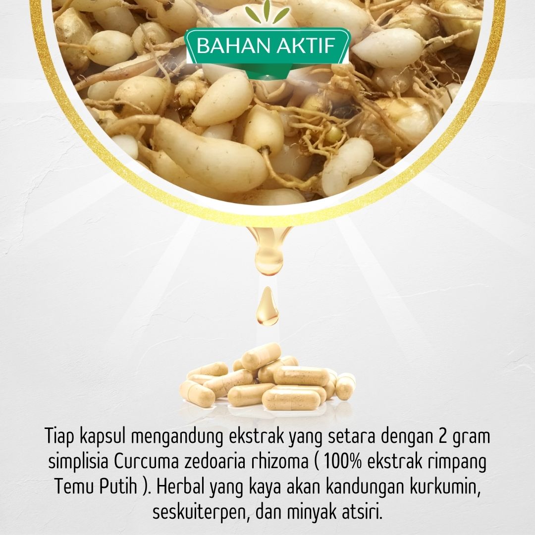 ekstra jual TAZAKKA Ekstrak Kapsul Temu Putih Obat Herbal Kista Miom Ovarium Endometriosis Temuputih Curcuma Zedoaria.jpg