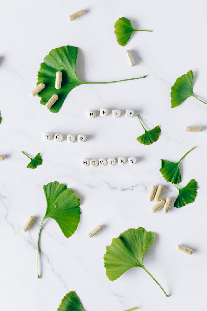Flat lay of Ginkgo leaves with herbal capsules and word blocks 'Help Your Memory' on white surface.