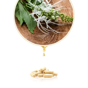 Kapsul Daun Kumis Kucing Asli BPOM Herbal Tazakka isi 60 ekstrak Obat Batu Ginjal Empedu Infeksi Saluran Kemih Kencing Anti Radang Inflamasi 1