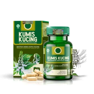 Kapsul Daun Kumis Kucing Asli BPOM Herbal Tazakka isi 60 ekstrak Obat Batu Ginjal Empedu Infeksi Saluran Kemih Kencing Anti Radang Inflamasi